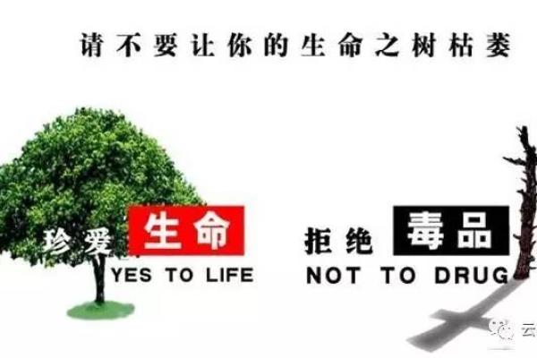 为什么注射吸毒会导致命不长的真相揭示 为什么注射吸毒会导致命不长的真相揭示