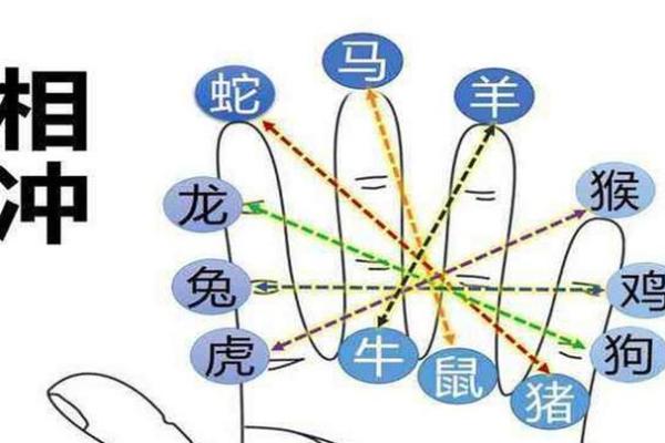 探秘生肖命理:如何解读你的命运与生肖的关系 探秘生肖命理:如何解读你的命运与生肖的关系