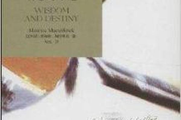 解秘1991年出生的羊儿命运：智慧与灵动的结合之旅
