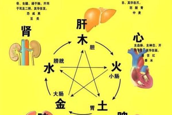 金命人的最佳选择：解析不同金元素的运用与相生之道