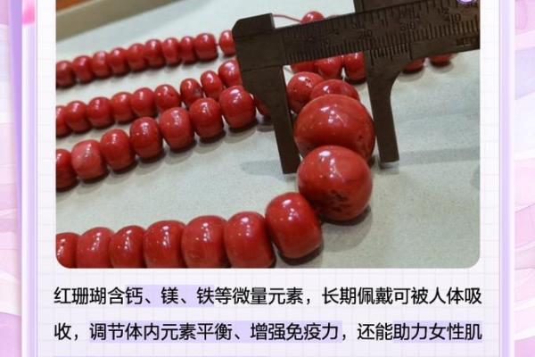 红珊瑚的魅力:适合哪些命人佩戴与养护技巧分享 红珊瑚的魅力:适合哪些命人佩戴与养护技巧分享