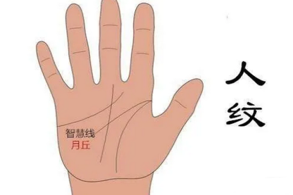 女人贤能命：解读女性命理之美丽与智慧的交融