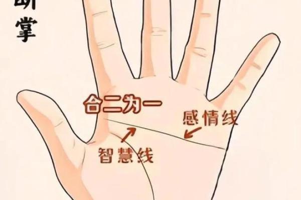 揭秘！这些手相特征的女人，注定是福星命！