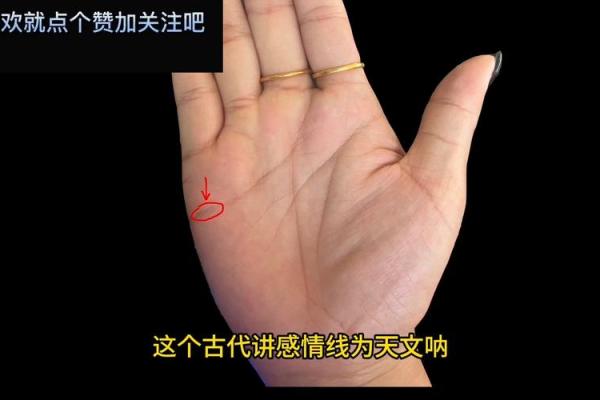 揭秘！这些手相特征的女人，注定是福星命！