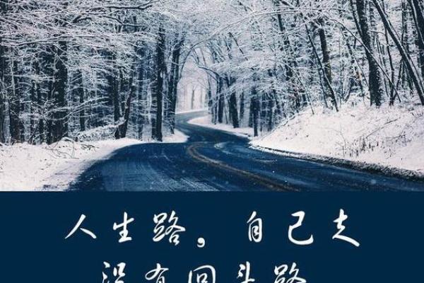1973年腊月12日：命运交织的奇妙瞬间与人生启示