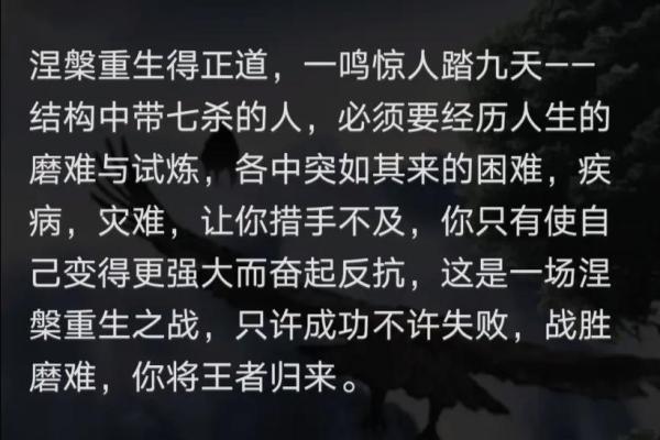 探索己巳年己巳月命理的奥秘与人生启示