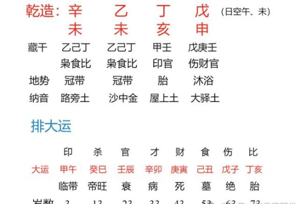 2022年男虎的命理解析：如何掌握好运与未来