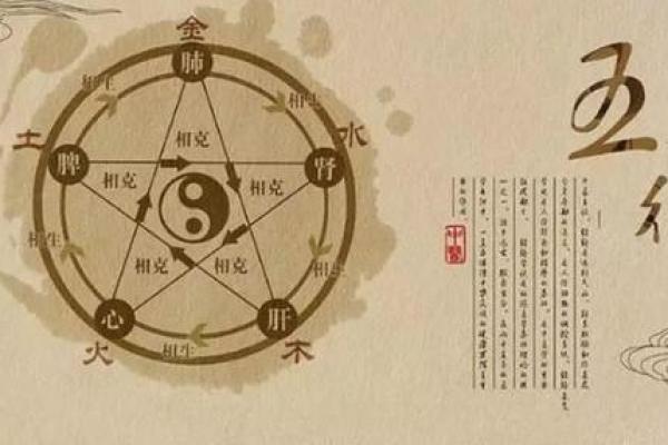 2003年羊命命理解析：解读温柔而坚韧的性格特征
