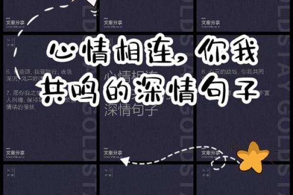 《爱你如命》：舒畅歌声中的深情表达与心灵共鸣