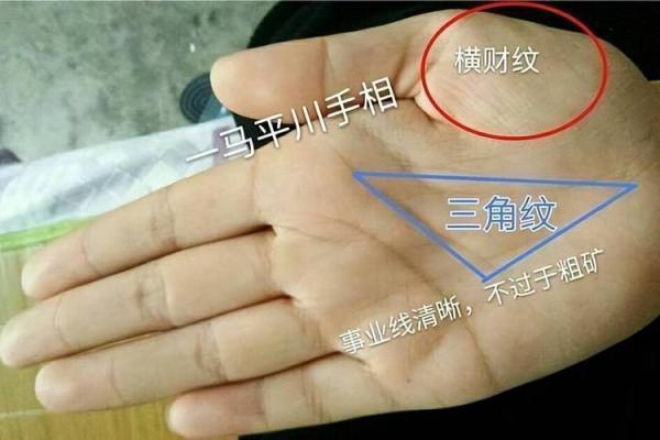 看掌纹，揭示你命运的秘密与人生轨迹