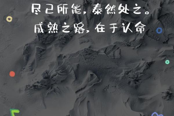 探秘命运：最具影响力的司机与人生路上的选择