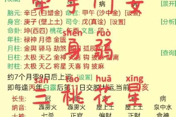 探寻2023癸卯年：命理解析与人生启示