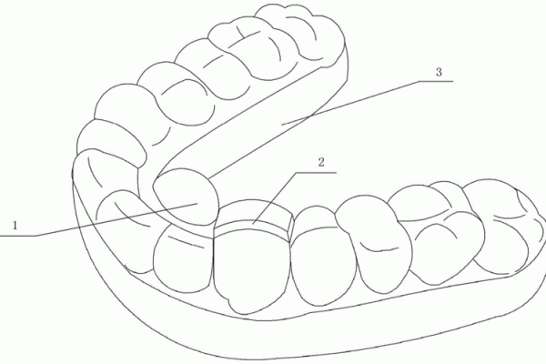 23颗牙齿的命运：牙齿与人生的奇妙关联