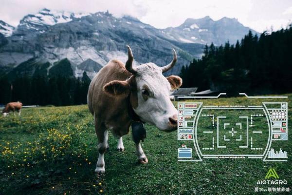 土命数字解析:自然之力的秘密与生活的智慧 土命数字解析:自然之力的秘密与生活的智慧