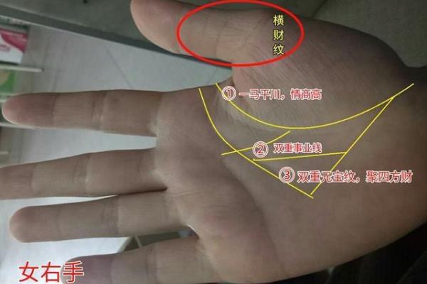 文官命格：解析其人生轨迹与命运特征