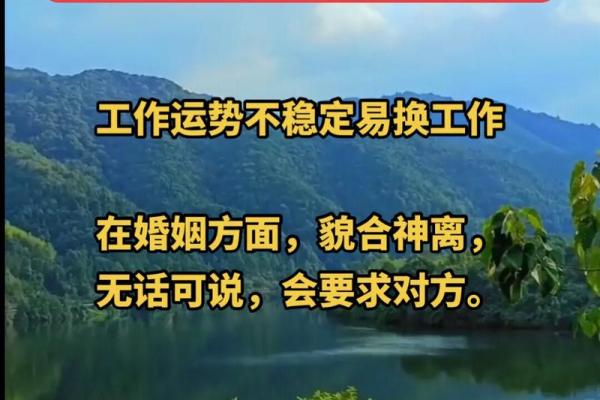 25岁兔子的土命之谜：解密命理的奥秘与人生的启示