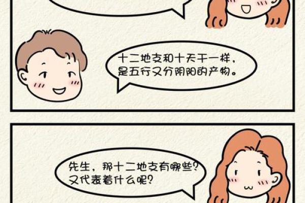 25岁兔子的土命之谜：解密命理的奥秘与人生的启示