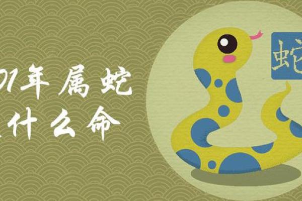 20年小龙命，探索命理与人生的奇妙之旅