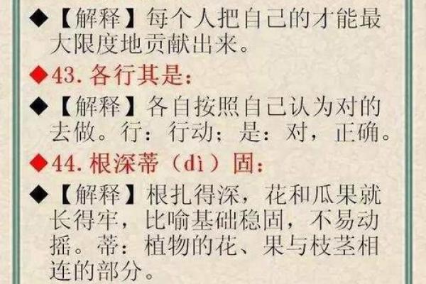 “言简意赅”——解读成语的深刻含义与用法