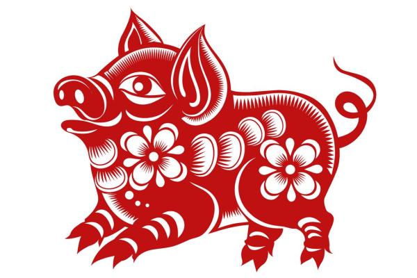 1995年属猪：可爱而坚韧的生命哲学探讨