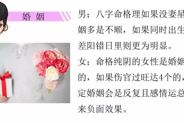 宠物的命格：它们如何影响我们的生活与命运？