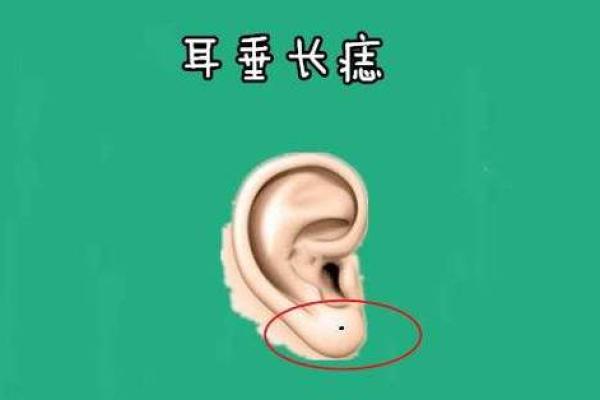 耳朵后面有洞的命运象征与人生启示