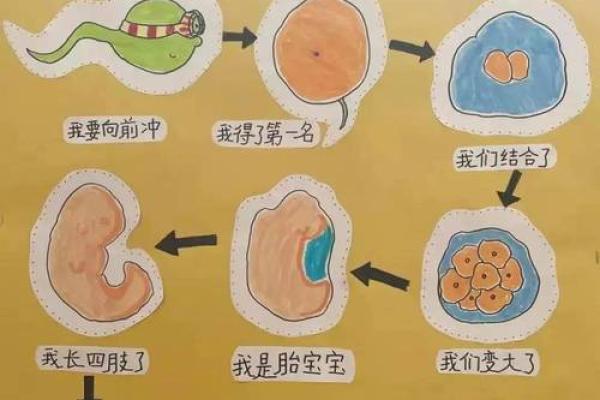 61年出生的你,命运如何,探索生命的奥秘与智慧 61年出生的你,命运如何,探索生命的奥秘与智慧