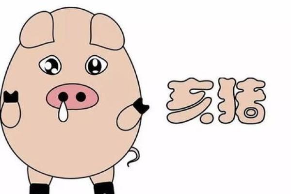 2007年属猪女孩的命运与个性解析 2007年属猪女孩的命运与个性解析