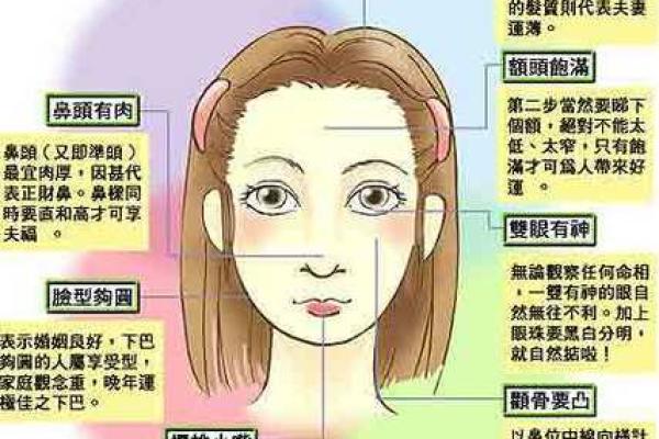 骨头突出的命运：人与骨骼的秘密联系