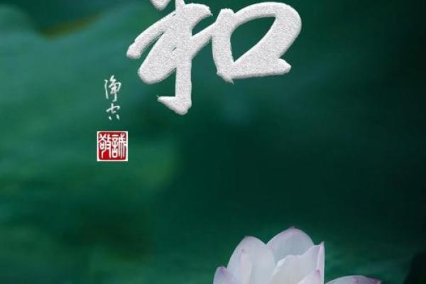 乐在其中，命在此生：享受生活的真谛