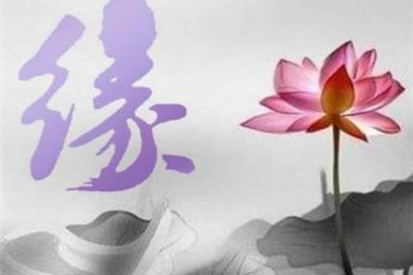 2002年出生属马的命理解析：打破桎梏，乘风破浪！