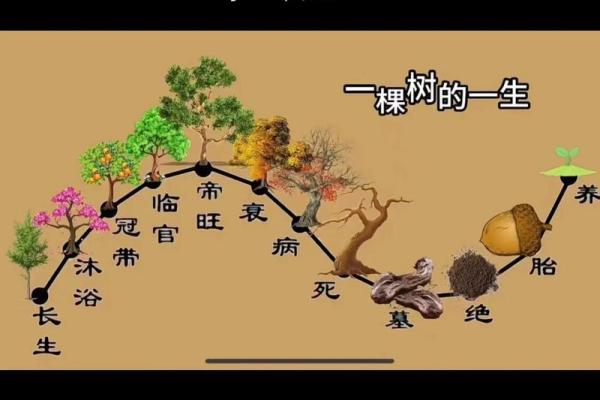 根据命理分析，命中适合养花的女人有哪些特征？