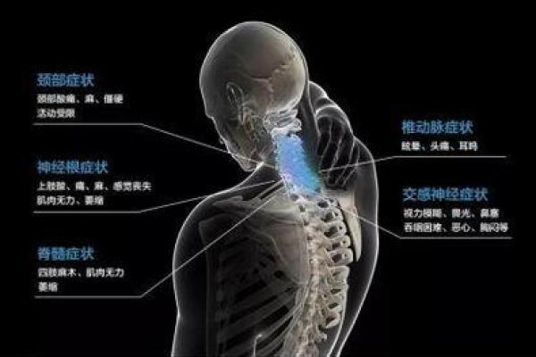 通过脖子的特征,揭示你的命运与性格奥秘 通过脖子的特征,揭示你的命运与性格奥秘