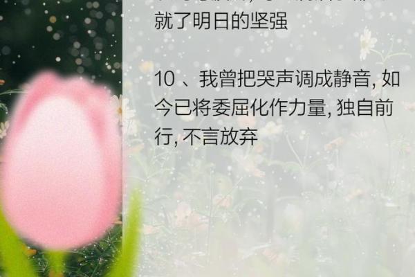为何美丽的女人反而命运多舛？探讨背后的无奈与悲歌