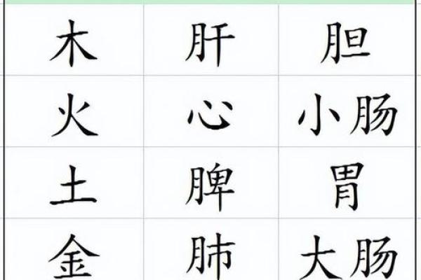 2004年水命缺什么：解密五行中的水与命运的关系