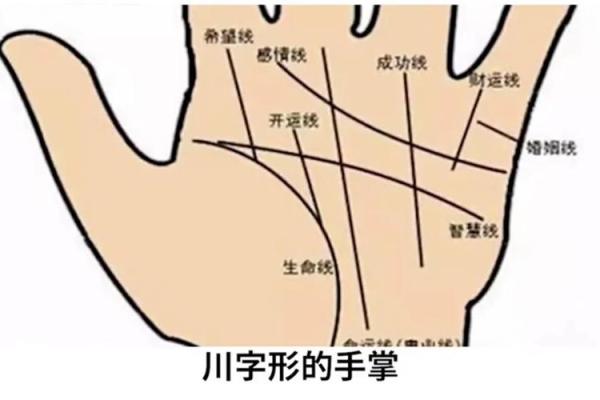 根据手纹解析：多手纹命格，人生的奇妙轨迹