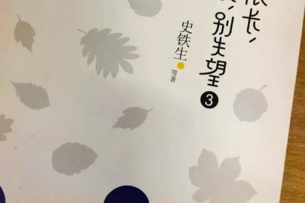 1997年出生的人命运解析：与星辰共舞的奇妙人生