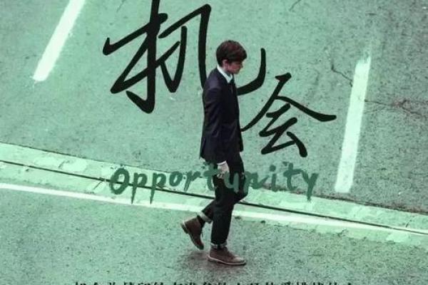 1994年11月的命运之轮：一段不可错过的机会与挑战