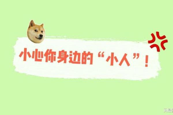 探寻丙辰日辛卯时的命理玄机，揭开人生之谜！