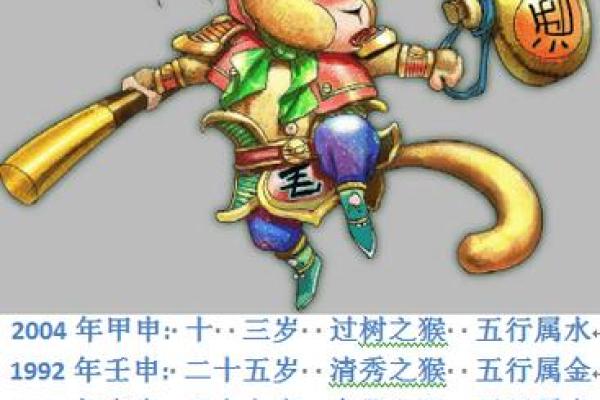 2003年属猴人的命运解析与人生指导