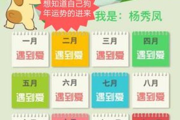 70年狗年出生的人命运解析：缺什么，如何强化运势？