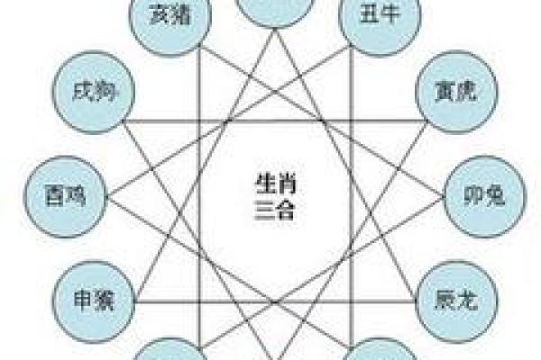 61岁属什么生肖，命理解析与人生智慧