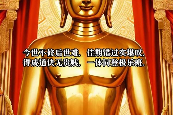 命里有缘，佛之智慧照亮人生之路