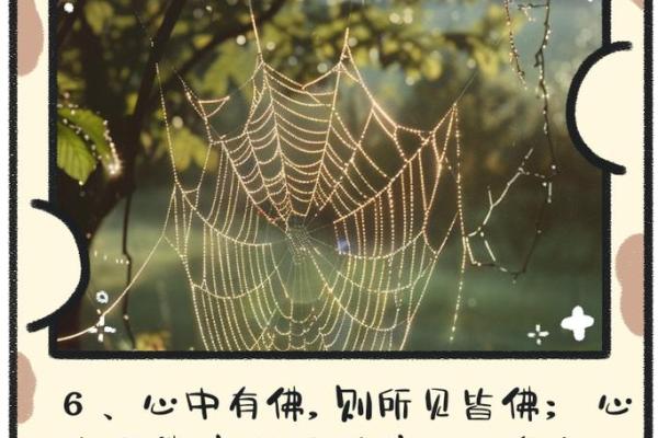 命里有缘，佛之智慧照亮人生之路