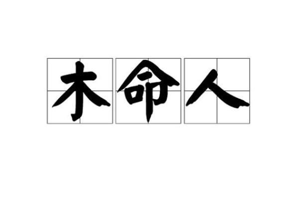 探索丑时木命者的命理特征与生活智慧