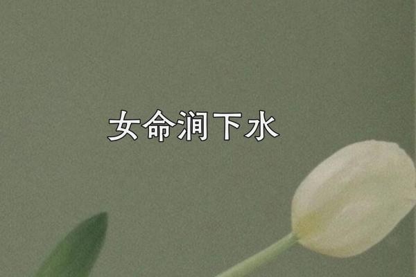 丙子润下水命：解析缺失与生克之道，助你走向人生辉煌