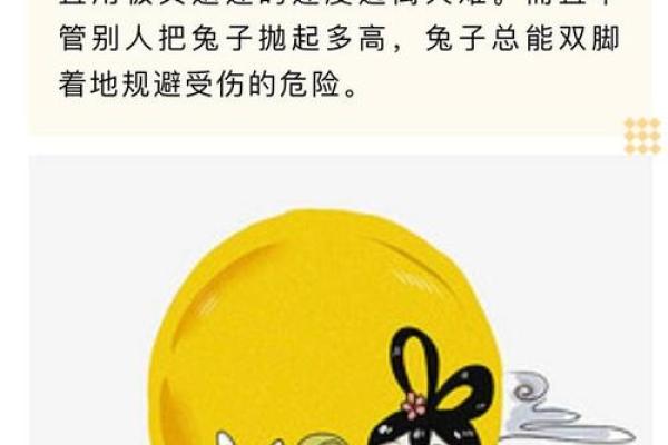 1988年属兔的命运与人生解析:生肖兔的神秘与魅力 1988年属兔的命运与人生解析:生肖兔的神秘与魅力