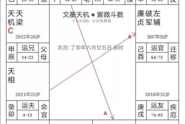 辰时出生的人命运解析：解码辰时的命理奥秘与人生方向