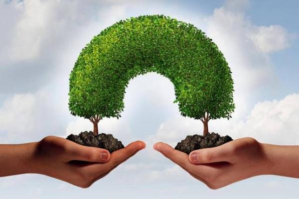 2003年出生的人命运与婚配：幸福之路的探索