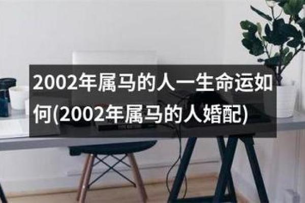 2003年出生的人命运与婚配：幸福之路的探索